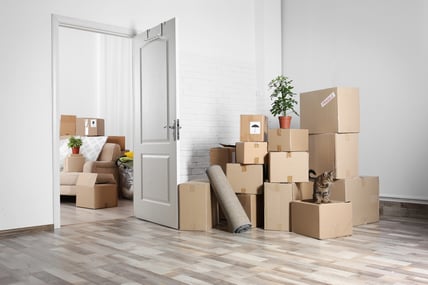shipping household goods overseas