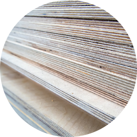 Case study